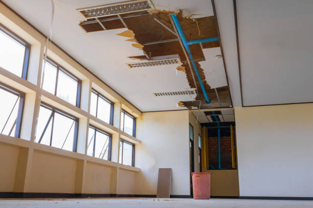 Best Fire Damage Restoration  in Alpine, UT