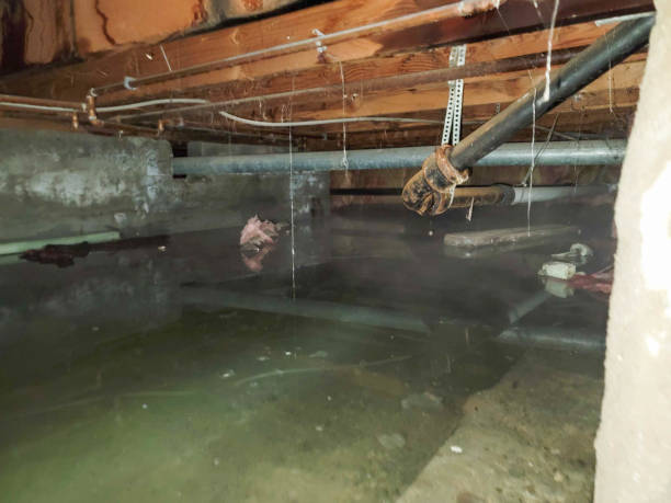 Best Residential water damage restoration  in Alpine, UT