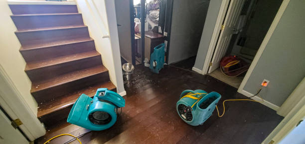 Best Flood damage cleanup  in Alpine, UT