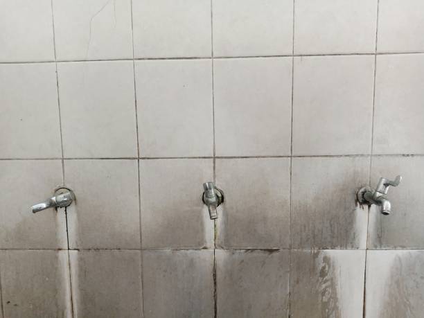 Best Ceiling water damage repair  in Alpine, UT