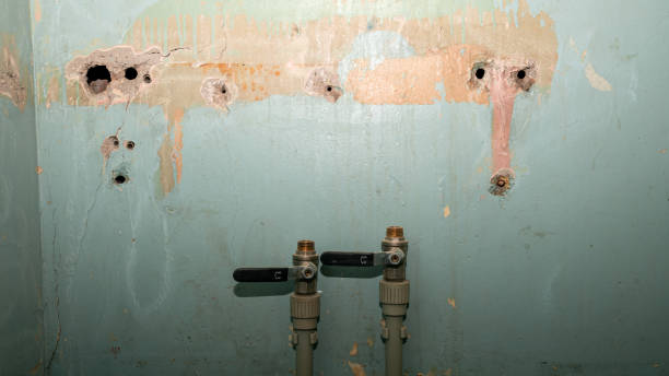 Best Water damage restoration experts  in Alpine, UT