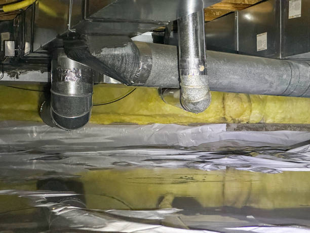 Best Water damage restoration near me  in Alpine, UT