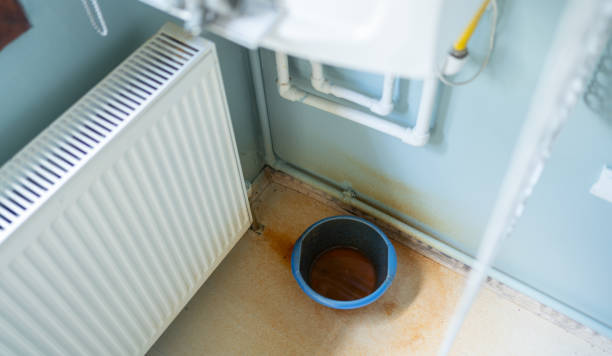 Best Mold removal after water damage  in Alpine, UT