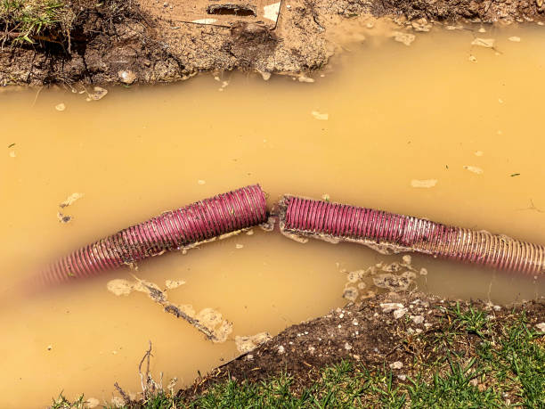 Best Water damage restoration process  in Alpine, UT
