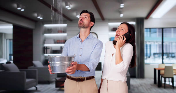 Water damage restoration experts in Alpine, UT