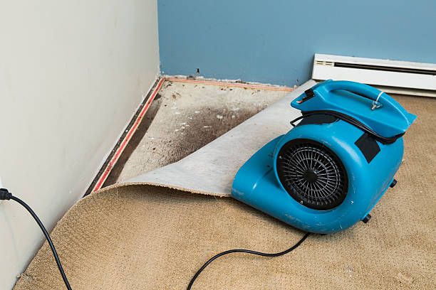 Alpine, UT Water damage restoration Pros
