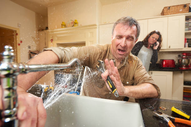 Best Sewage cleanup and water damage restoration  in Alpine, UT